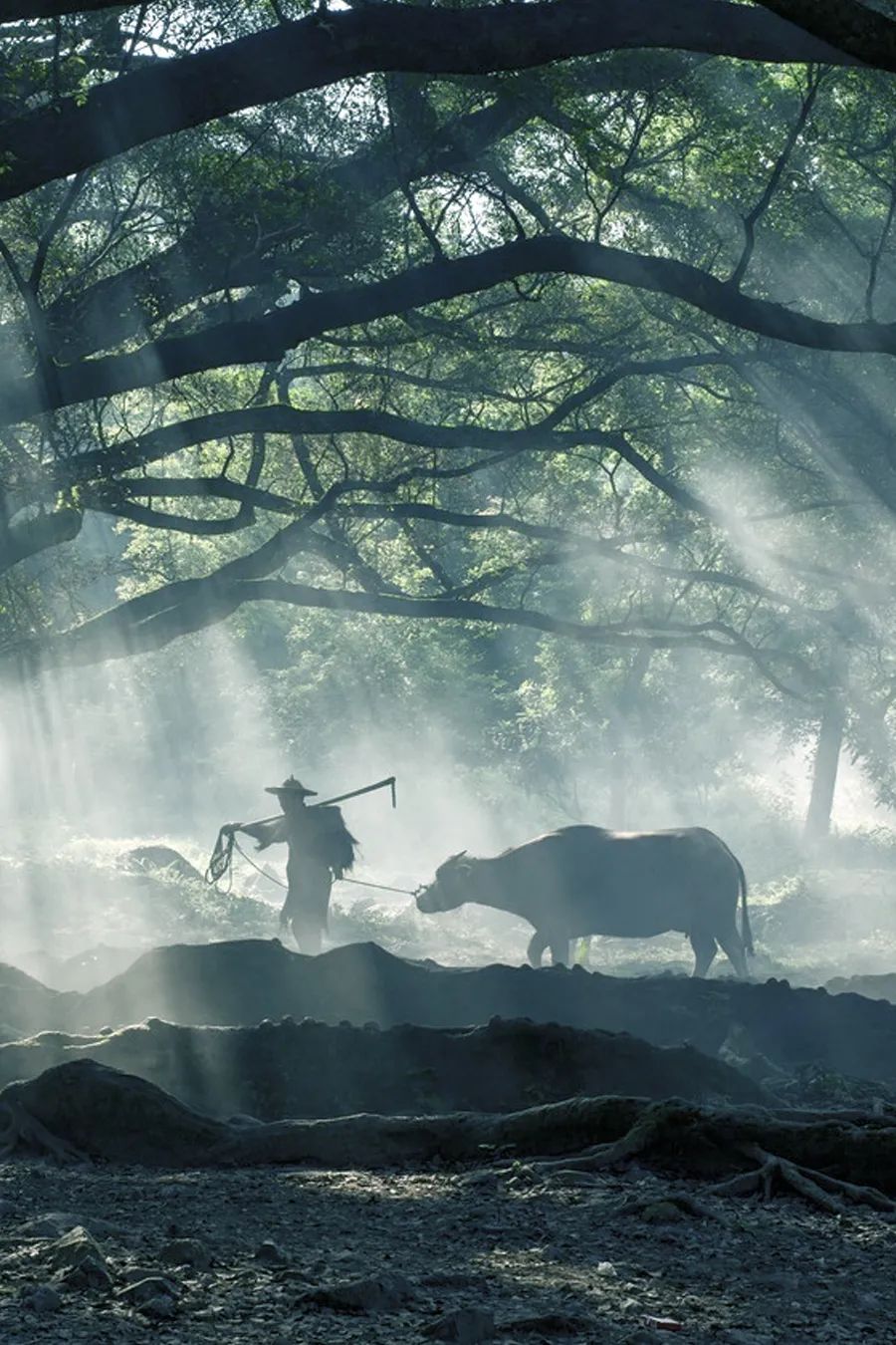 时间雅称大全,时间的别称雅称