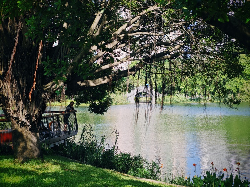 深圳市蛇口攻略,深圳海岛蛇口