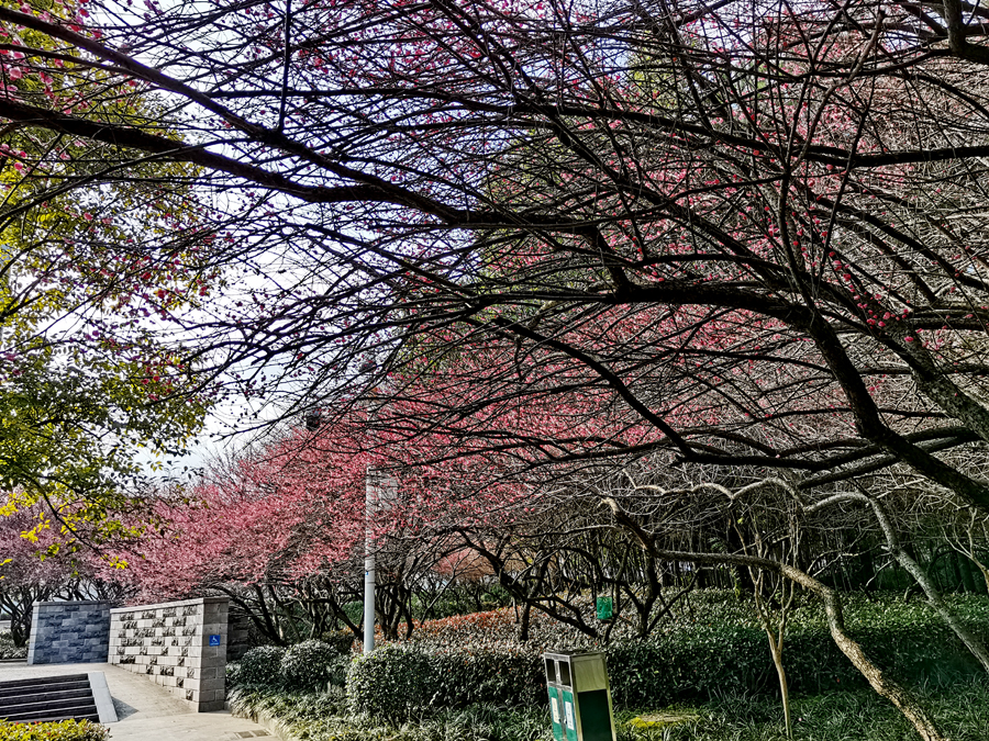 是仪：心中有民（八）