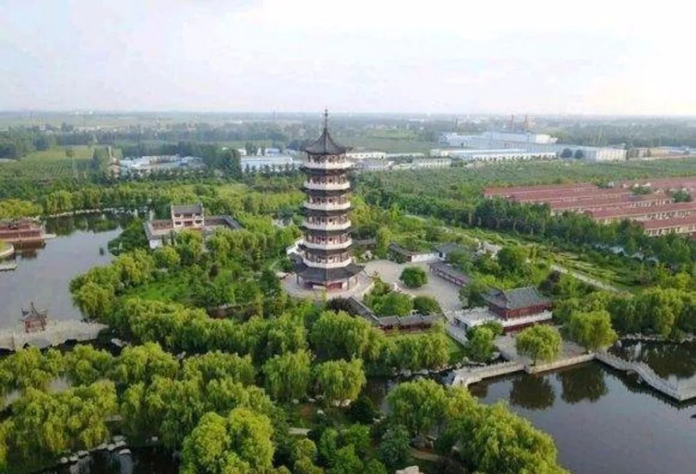 探访滕州市张汪镇：“一村一品”花式致富催生“富民经济”的秘诀