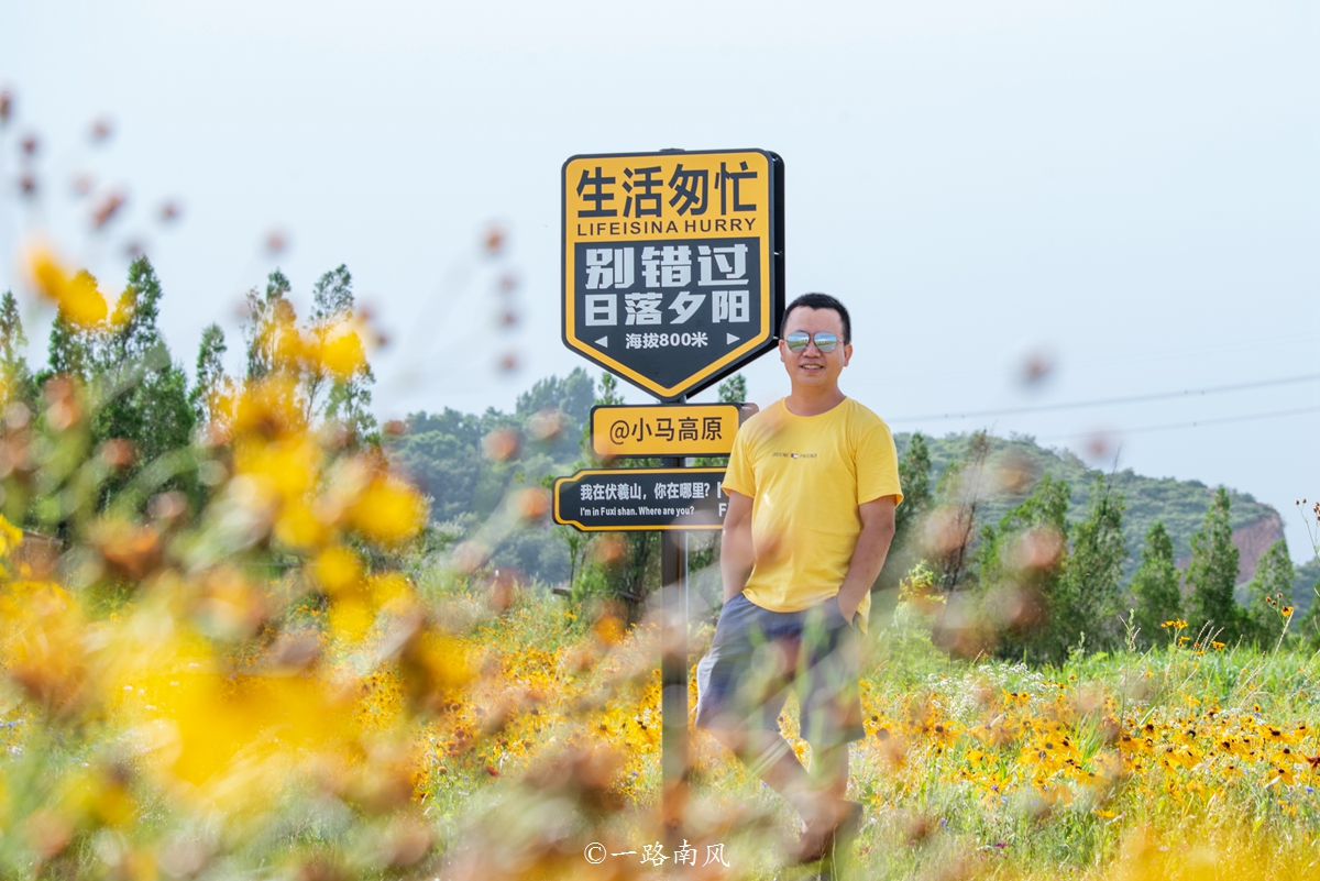 河南特别大的草原,美丽的河南大草原