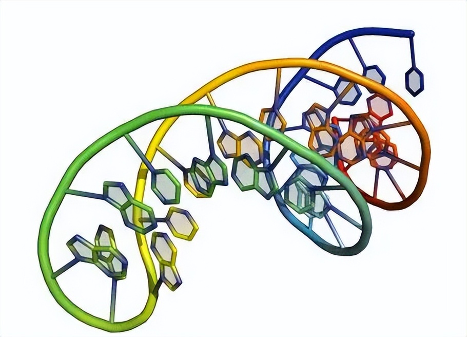 纤维素酶在农业上的应用图片,纤维素酶在膨化食品中应用