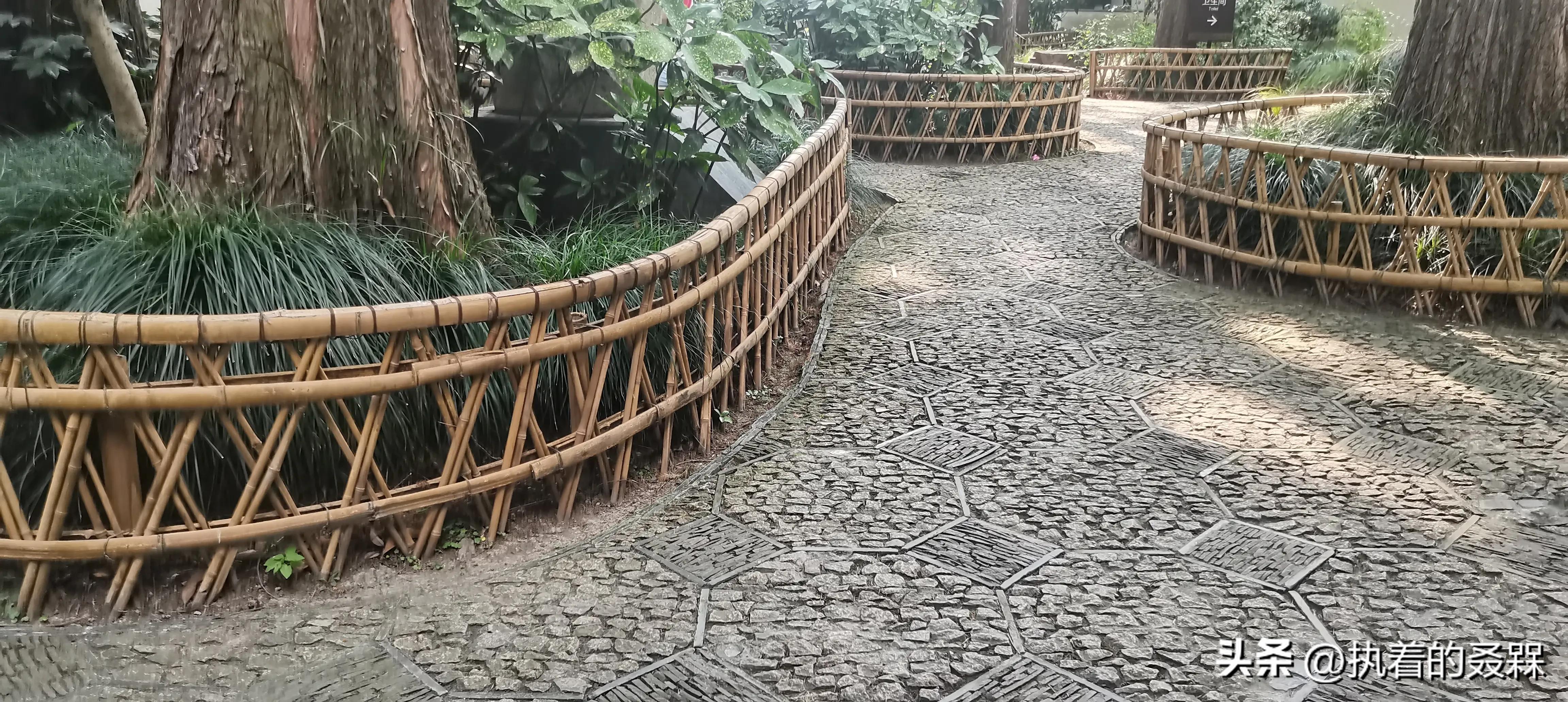 上海市五大古典园林之一曲水园,上海五大古典园林