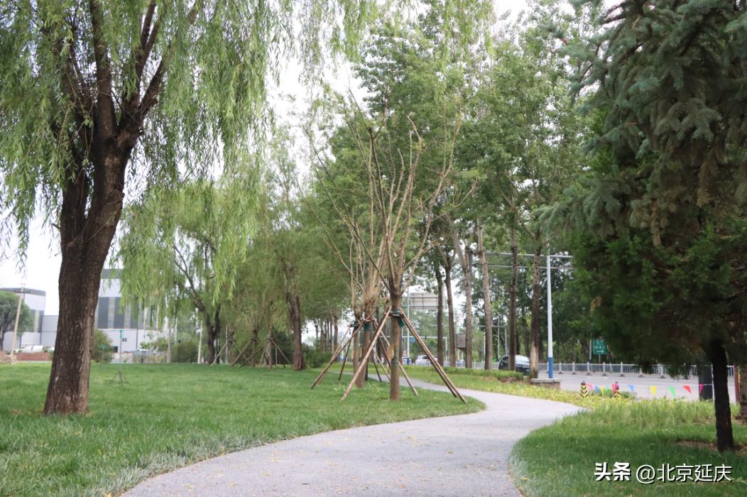 延庆环境治理,四项措施推进街道环境综合整治