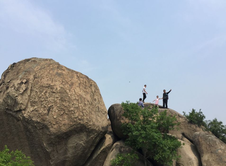 爱旅经常组织的市内登山路线，传说健康的人都去了这里......