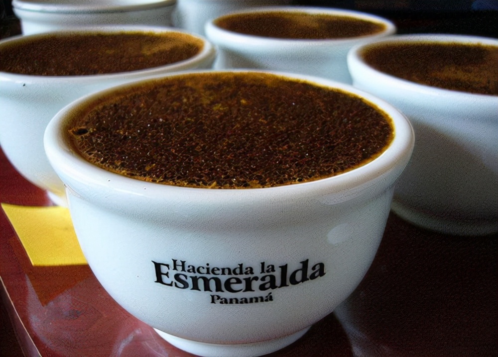 最贵的咖啡猫屎咖啡,最贵的咖啡是什么牌子