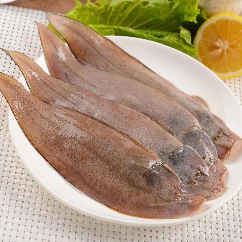 鱼类菜肴大全,鱼类食材大全