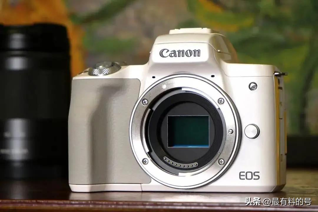 视频和照片拍摄双修的五款微单：索尼、佳能、富士、松下怎么选？