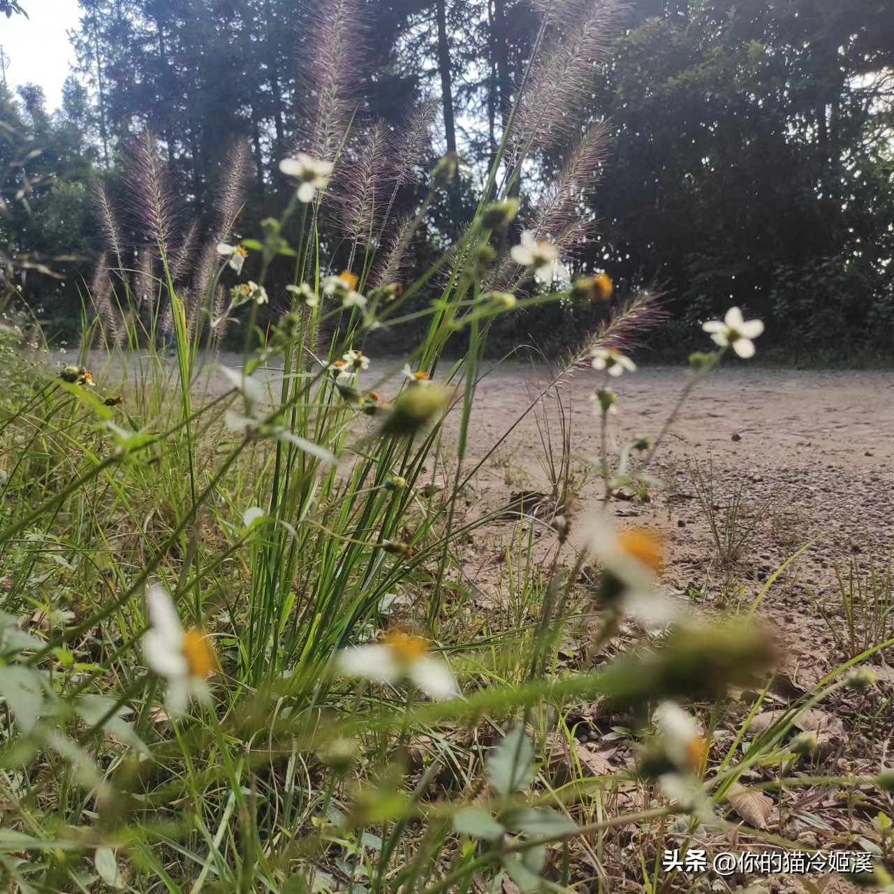 有点心酸难过的文案,总有一句扎心的文案戳到你的心