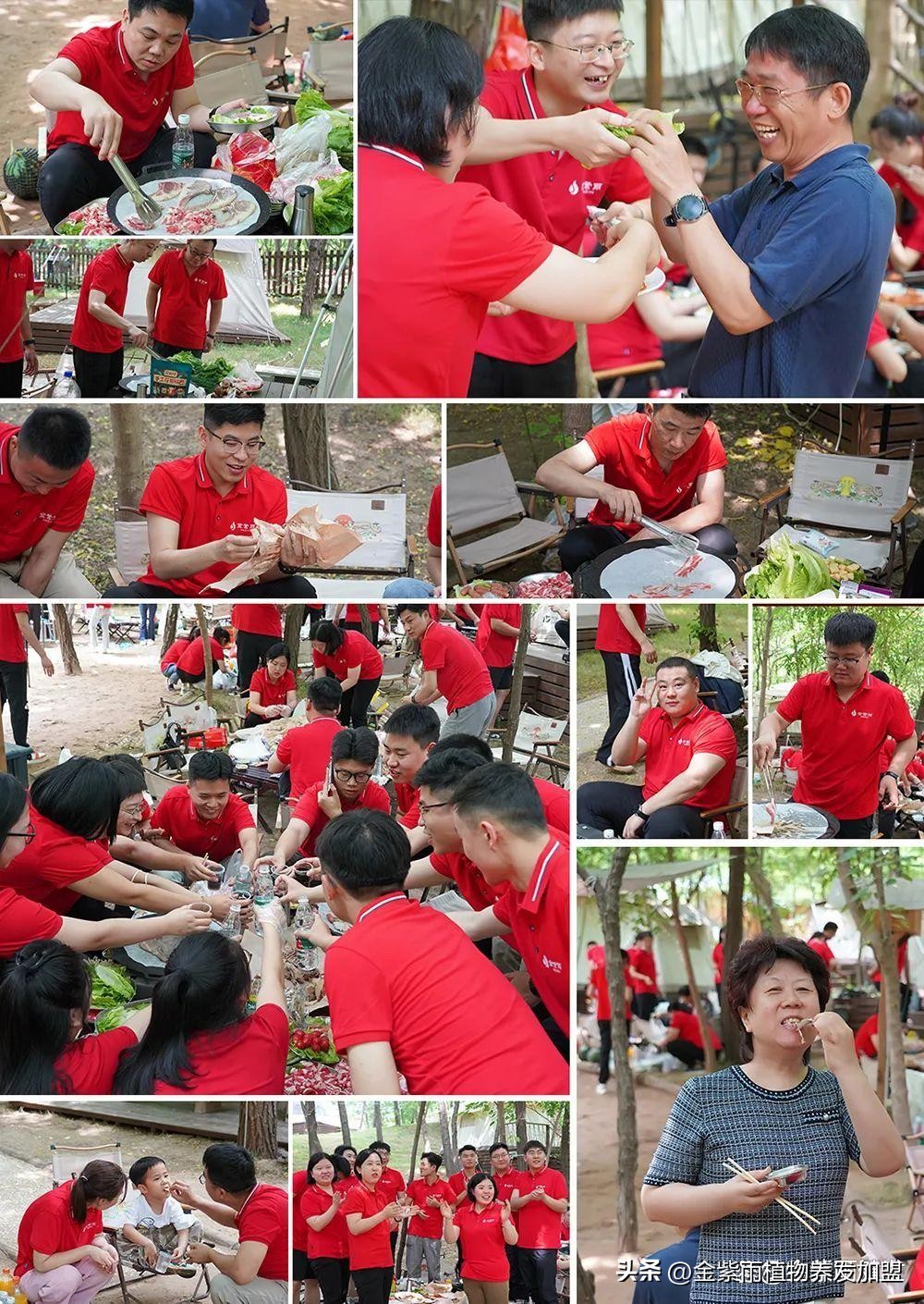 伊莱雅集团直播,伊莱雅集团