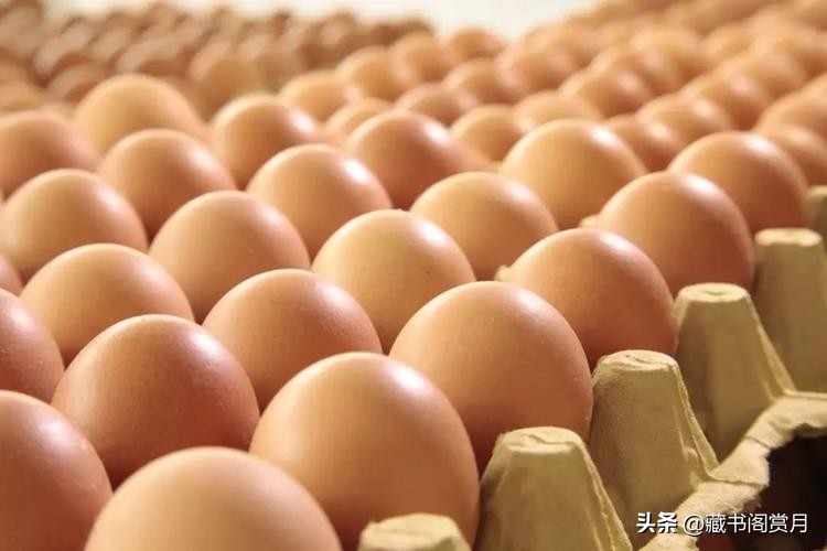 为什么大学教材质量差,为什么大学教材编写错误很多