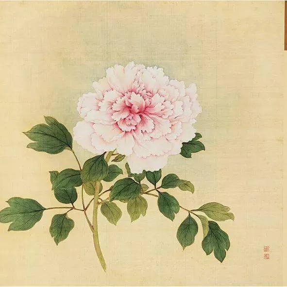 蒋廷锡牡丹画法,蒋廷锡百种牡丹画法