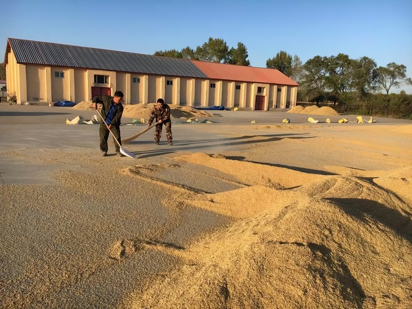 违规加盖房屋强制拆除的最新政策,旧房翻建加盖属于违建吗