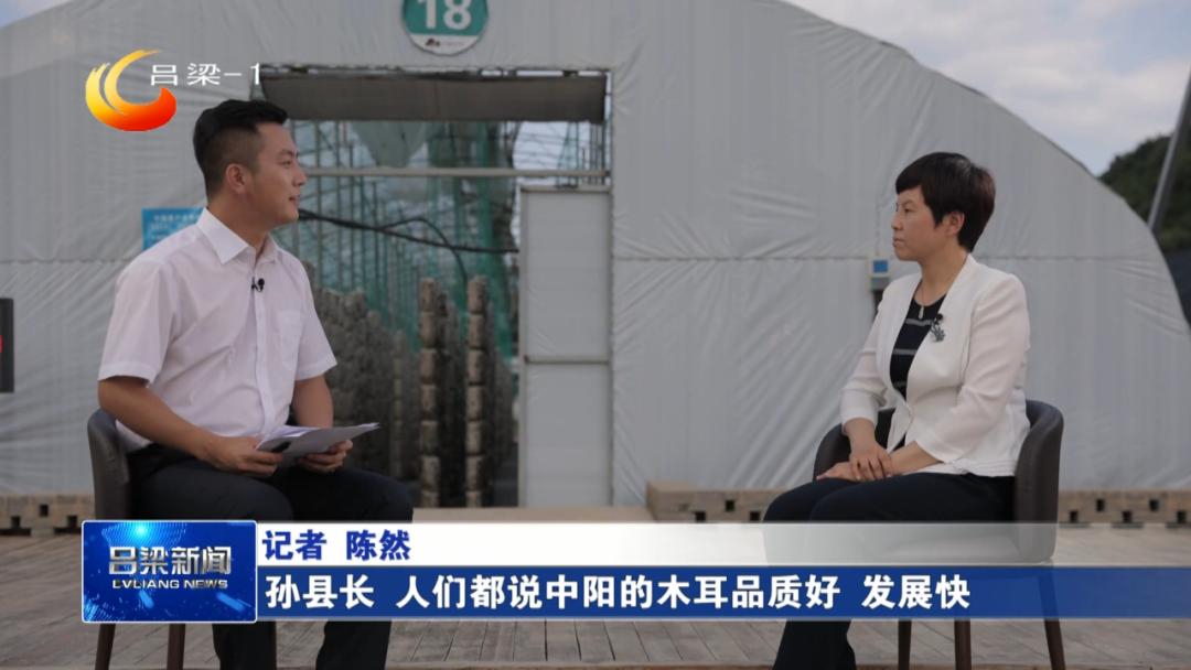 「稳经济促发展·县市区长访谈」中阳：下好政策“先手棋”激发经济新动能