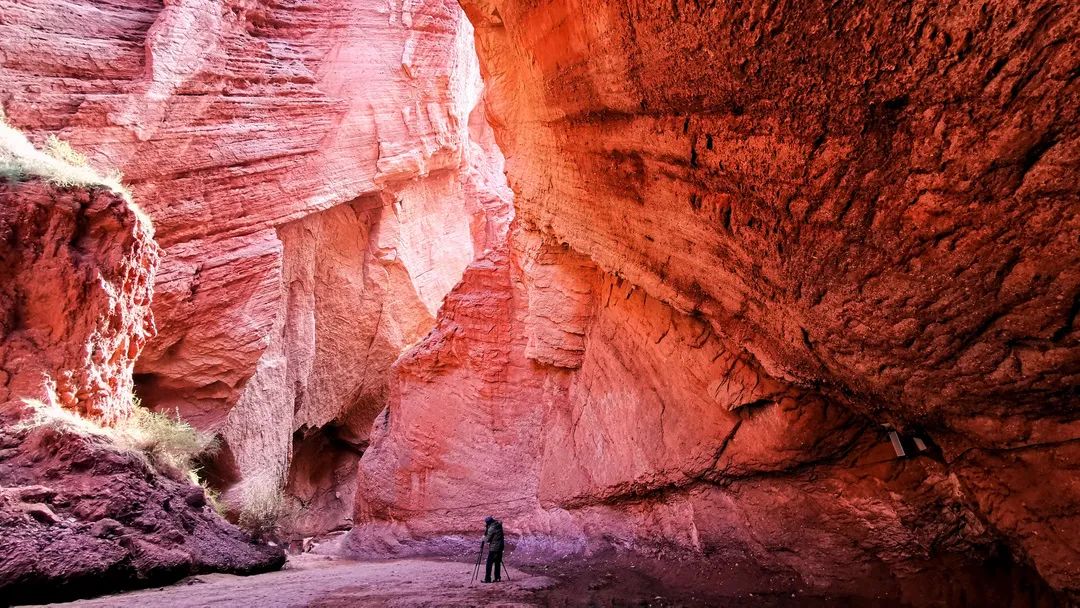 最美公路独库通车仪式,官宣独库公路2021年开通时间