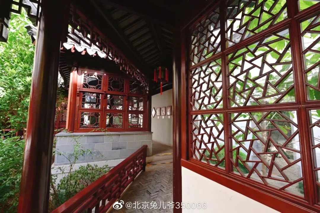 北京植物园的赏花的最好时节,西山秘境惊艳北京的植物