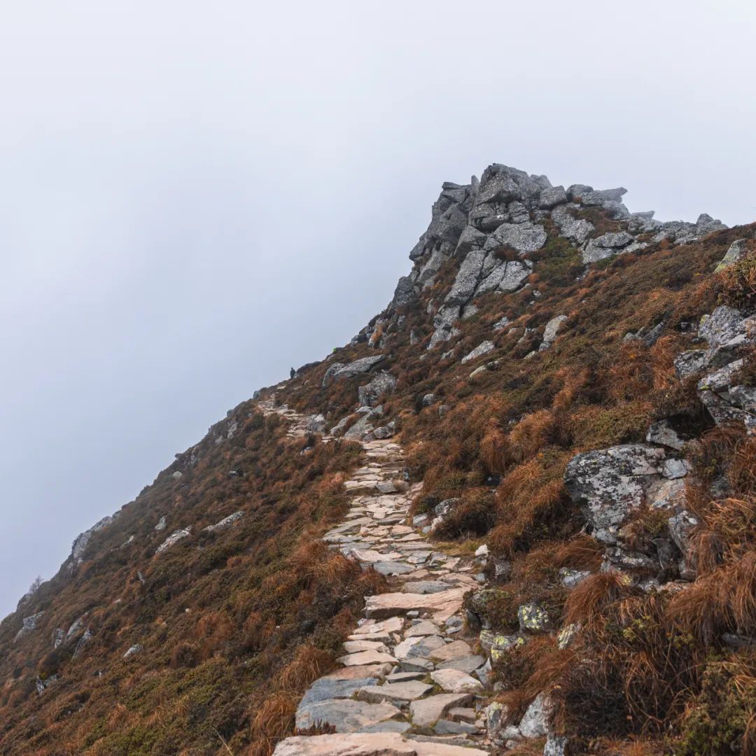 登太白山感受,太白山景区登顶拔仙台