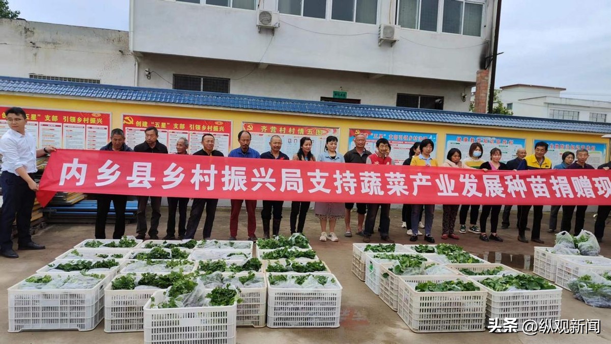 脱贫致富鸡苗送给贫困户,脱贫攻坚免费送猪苗