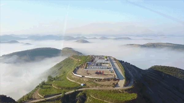 2022中国石油高校毕业生招聘公告,中国石油2021年高校毕业生招工