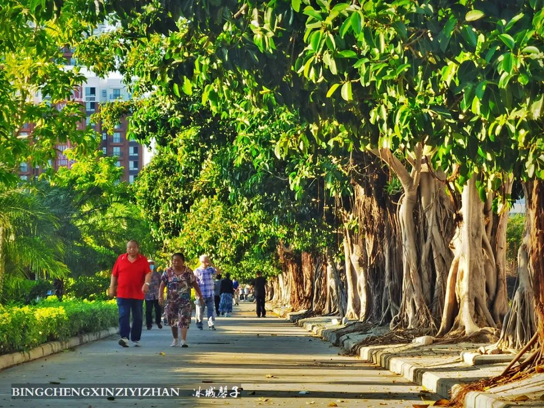 旅居海南：九所新区的浪漫情