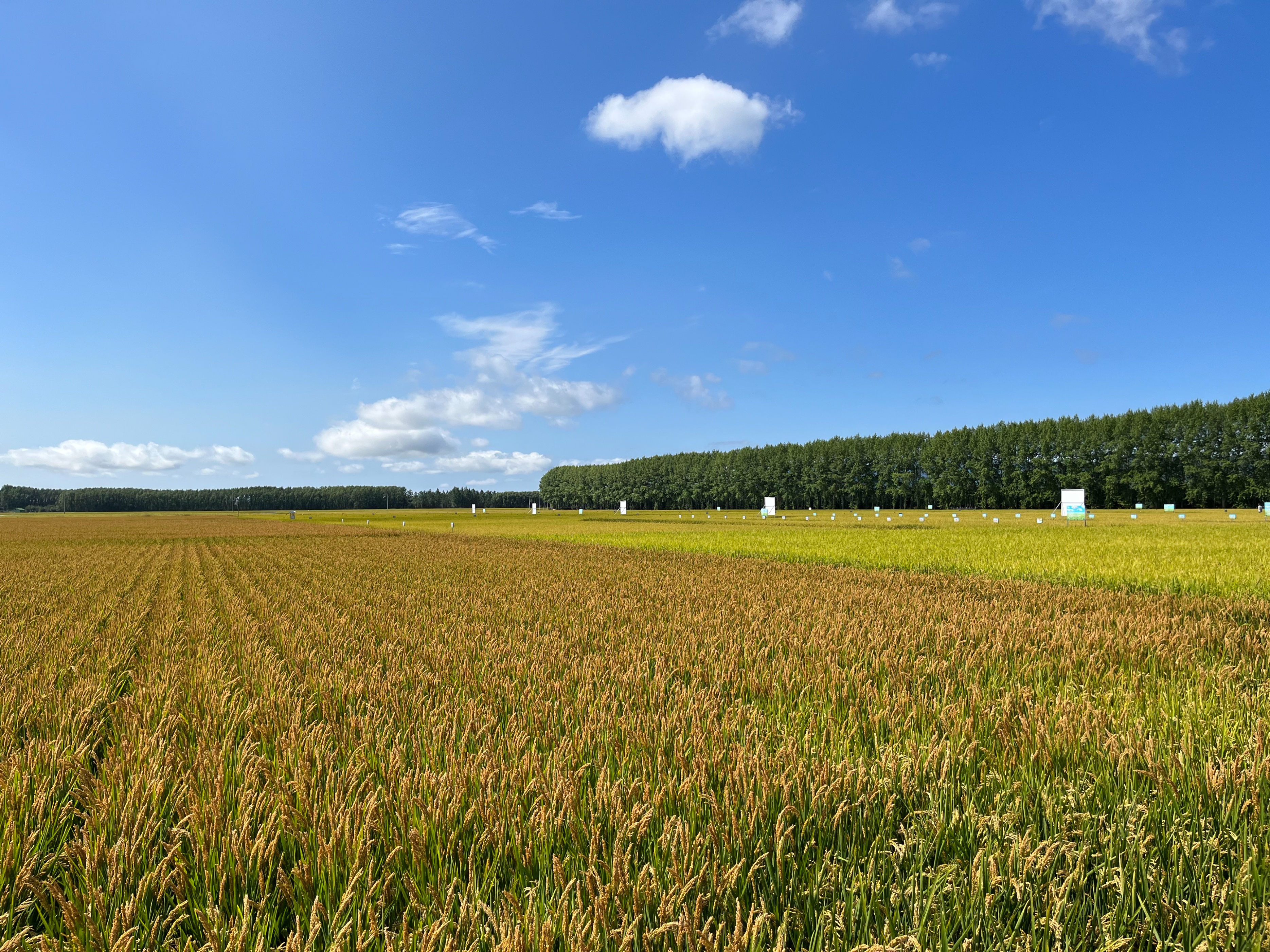 夫妻自驾11000公里,夫妻两人自驾游最新视频