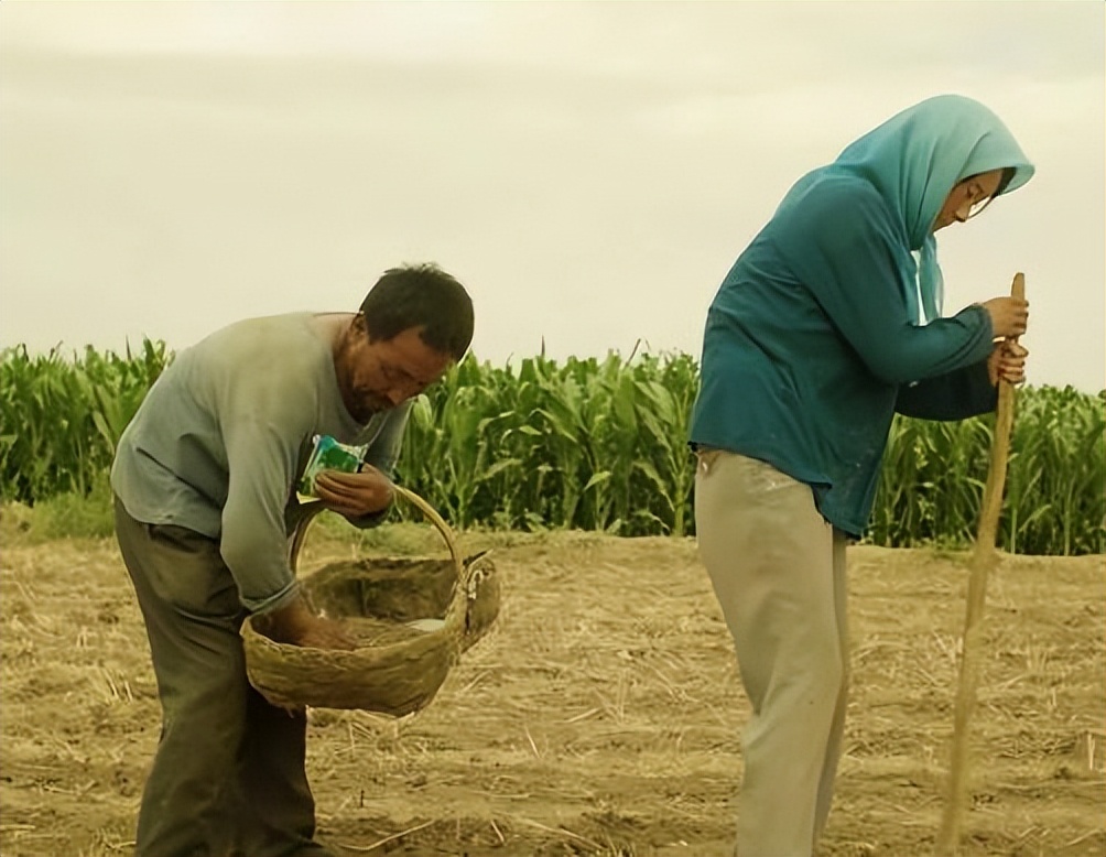 不会演穷人的明星,不会演什么就别演