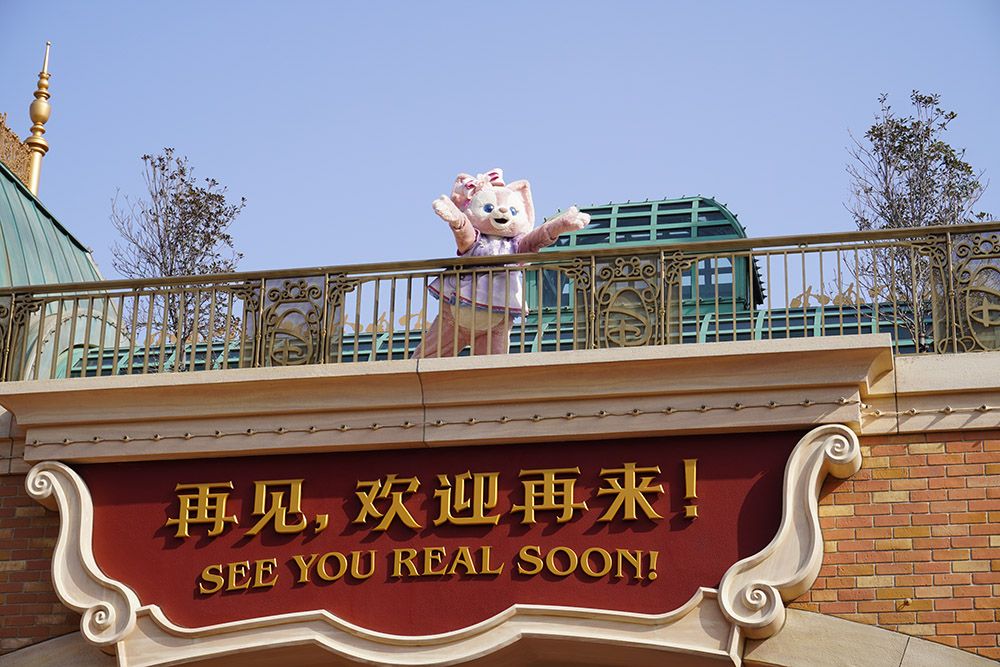 排队5小时、互动2分钟，与玲娜贝儿拥抱背后