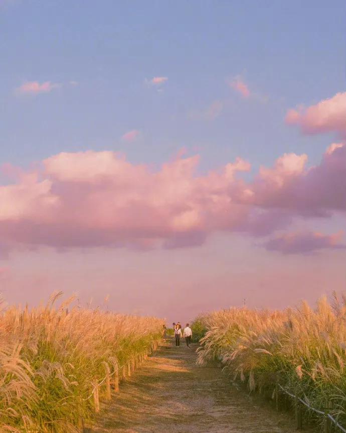 适合新手小白做的6个搞钱项目,搞钱项目最快的方法