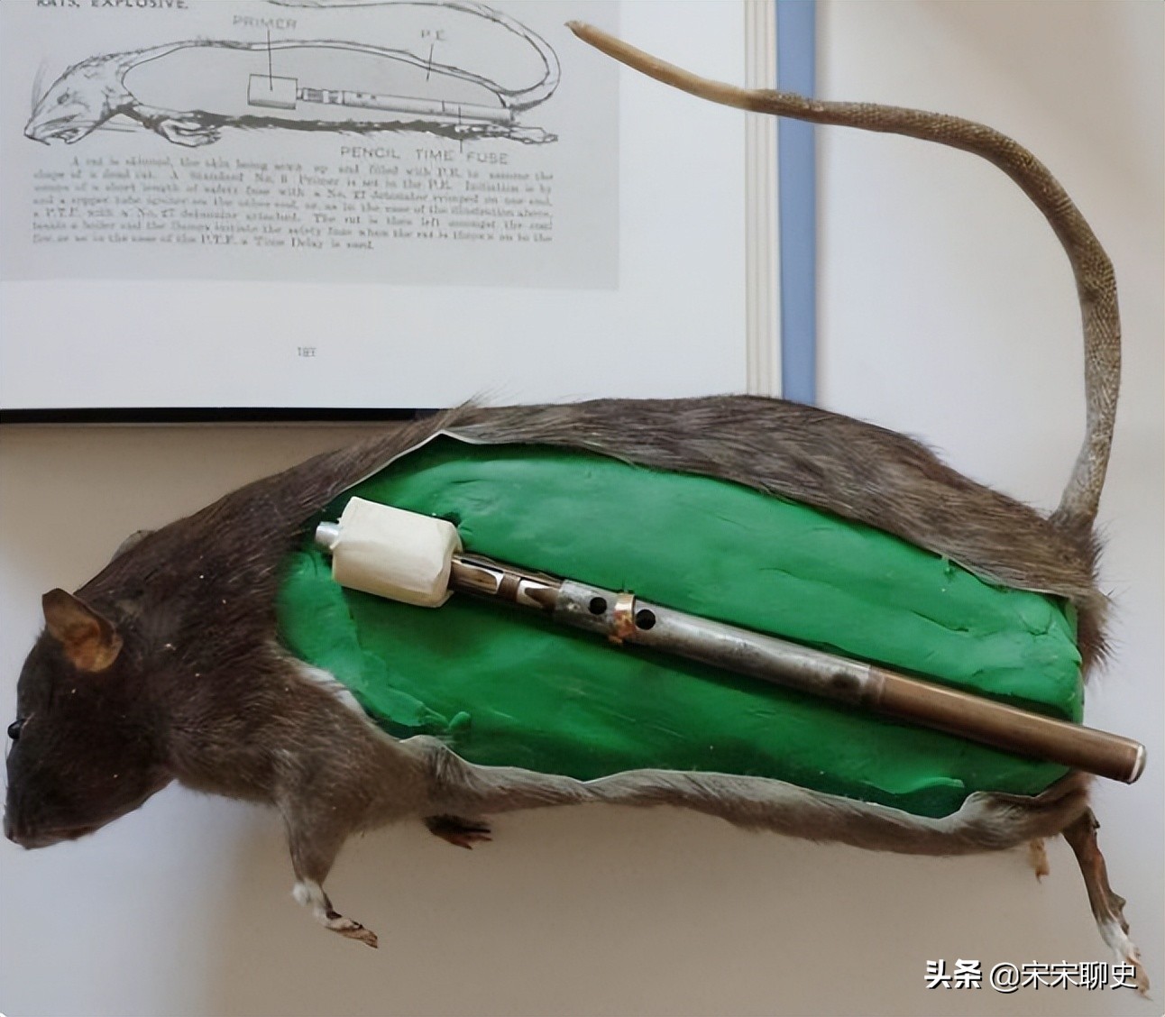 二战十大怪异武器排名,二战十大顶级武器