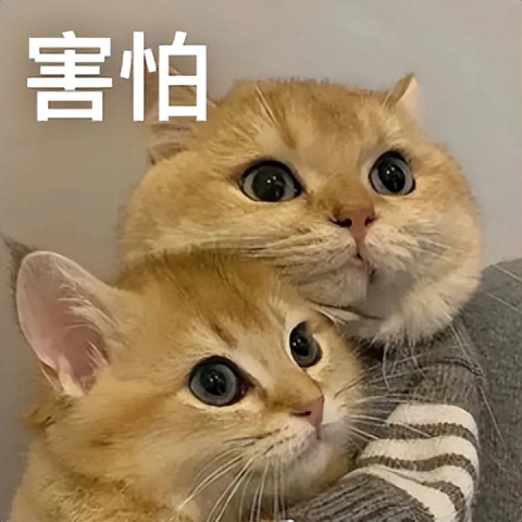 电动牙刷测评200元档,电动牙刷测评飞利浦电动牙刷