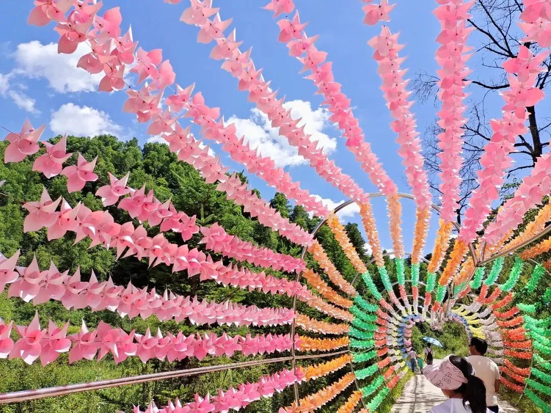 遇见20岁的男孩,遇见20年前的人