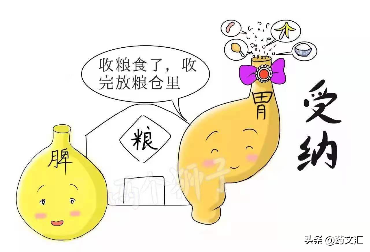 脾虚,湿盛,大便不成形,这款古方中成药,为什么医生都愿意开它