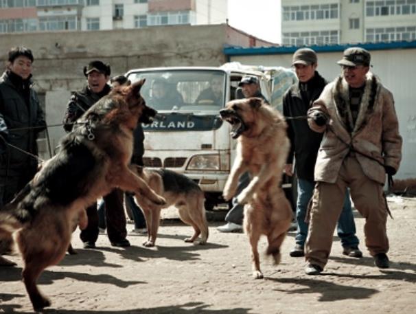 最新上映的韩国暴力动作电影,10部超刺激的韩国犯罪题材电影