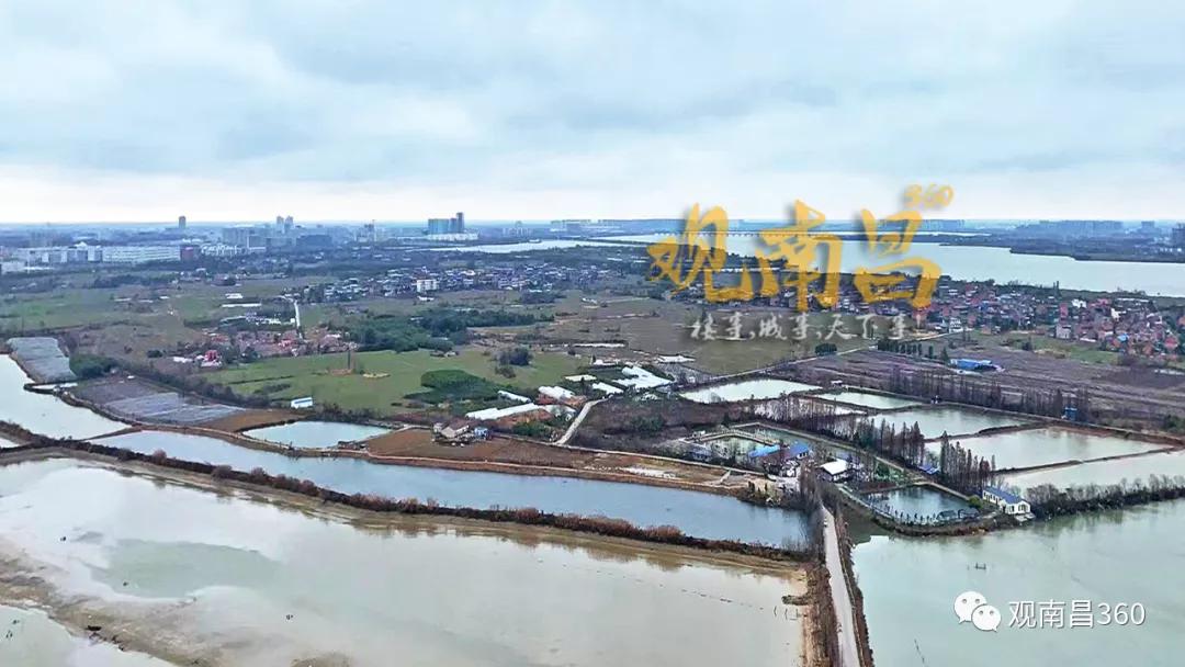 南昌有哪些宝藏打卡地,南昌的宝藏地方