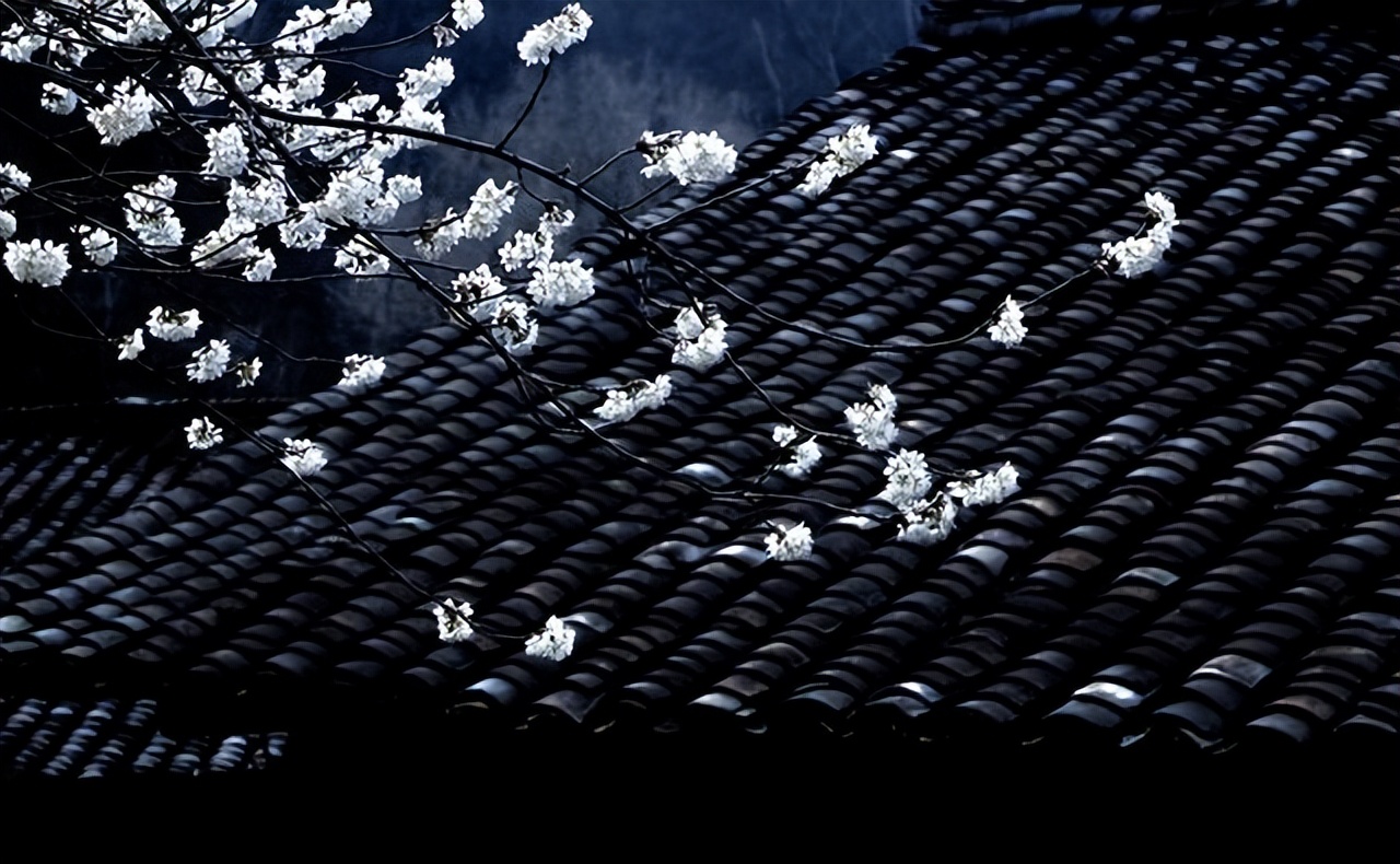 带花和带雨字的诗句,带雨的古诗词经典唯美名句