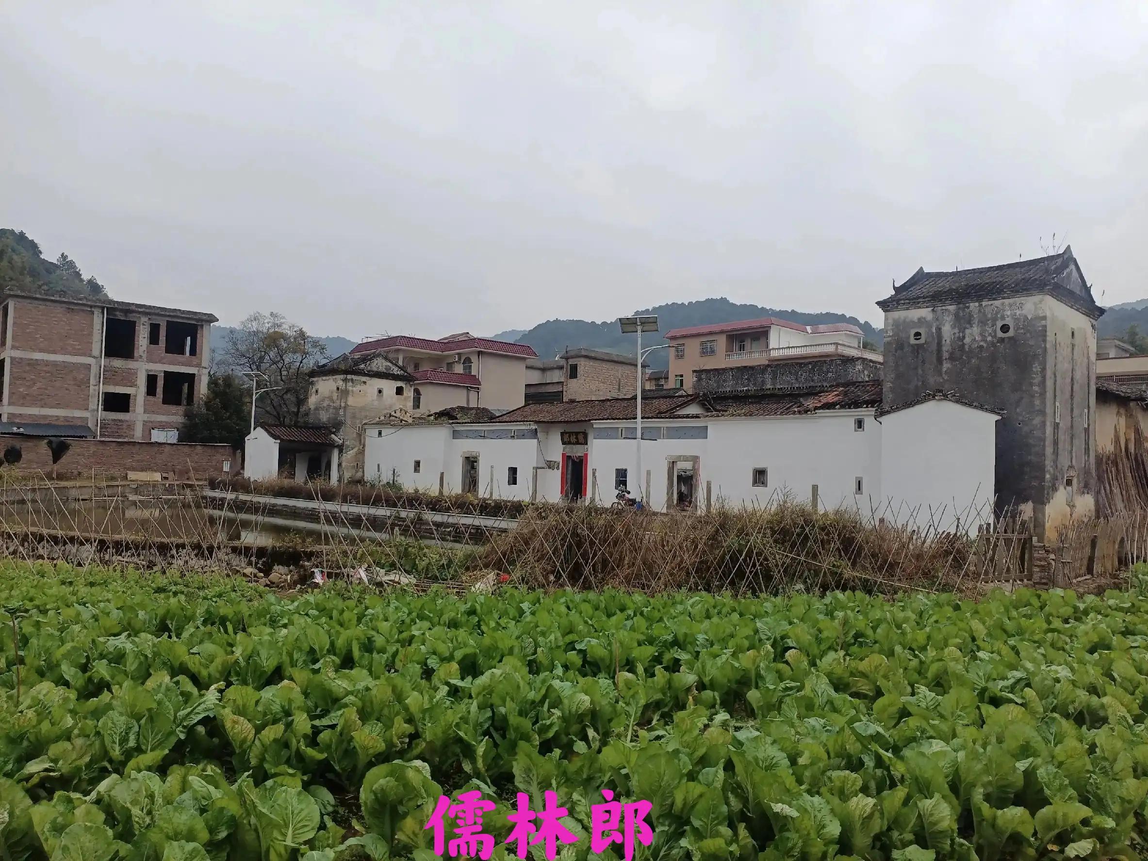 从化小杉村怎么去,从化小杉村自驾游攻略