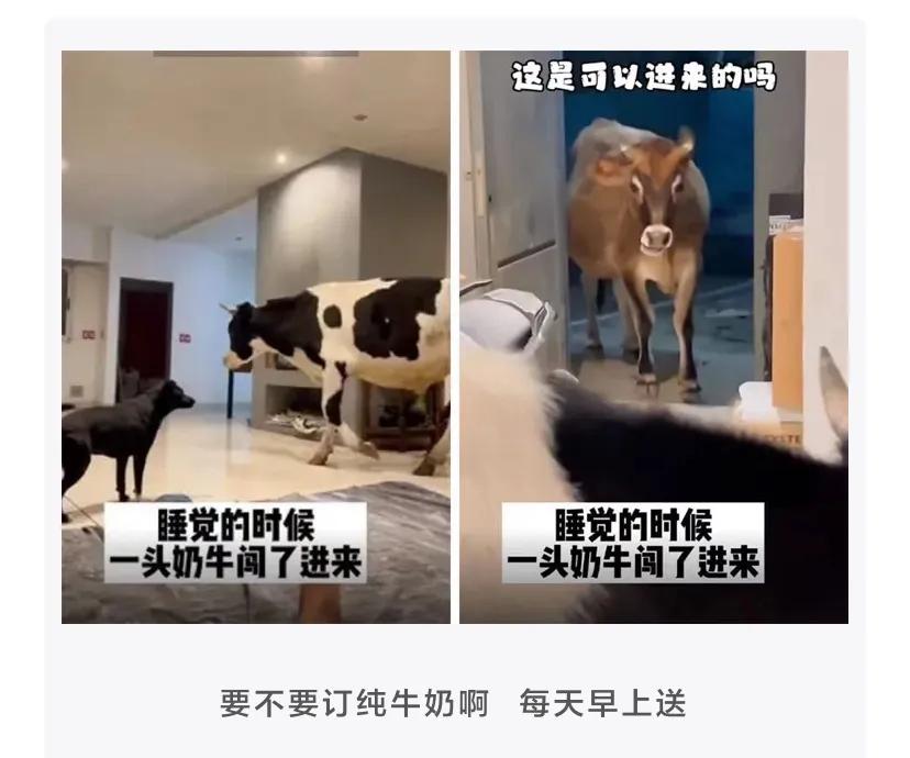 为什么吃了布洛芬更疼了,布洛芬是怎么知道我们身体哪里疼