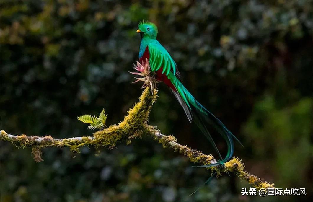 危地马拉真实现状,危地马拉是个什么玩意