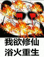 曾经辉煌过现在很落魄,曾经辉煌后来衰败的品牌