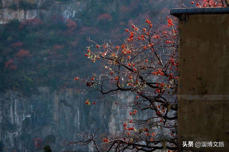 探寻山东最美古村落二起楼村,探秘中国古村