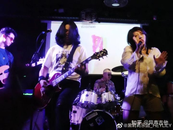 斑鸠的五种常见叫声,疫情下我学会了什么技能