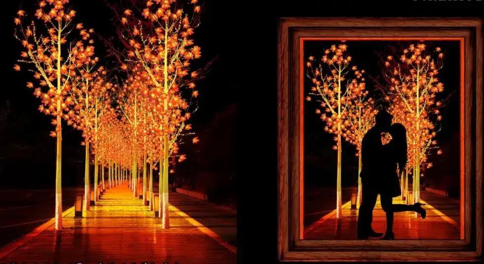 北京推出345场主题活动闹元宵,璀璨夜景美如画多彩民俗迎元宵