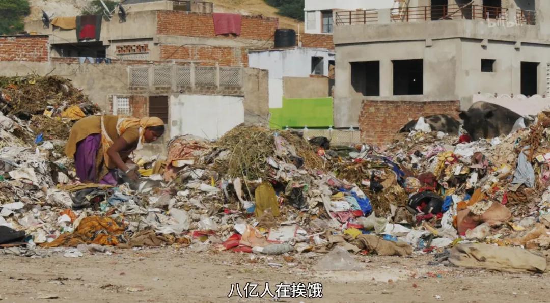 满分推荐！这部颠覆三观的良心之作，绝不该只有300人看过