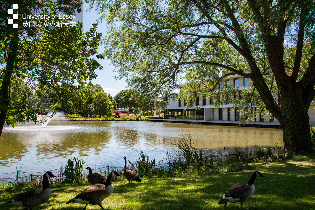 埃塞克斯大学留学一年学费,埃塞克斯大学在中国的认可度
