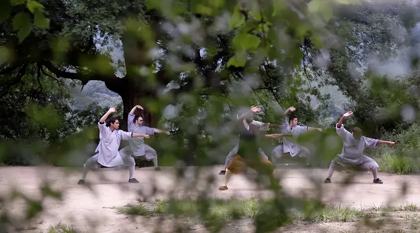 少林功夫纪录片全集,纪录片功夫少林