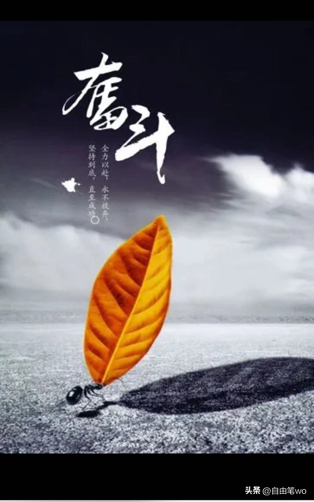 充满梦想的世界杯之旅,世界杯拼搏素材