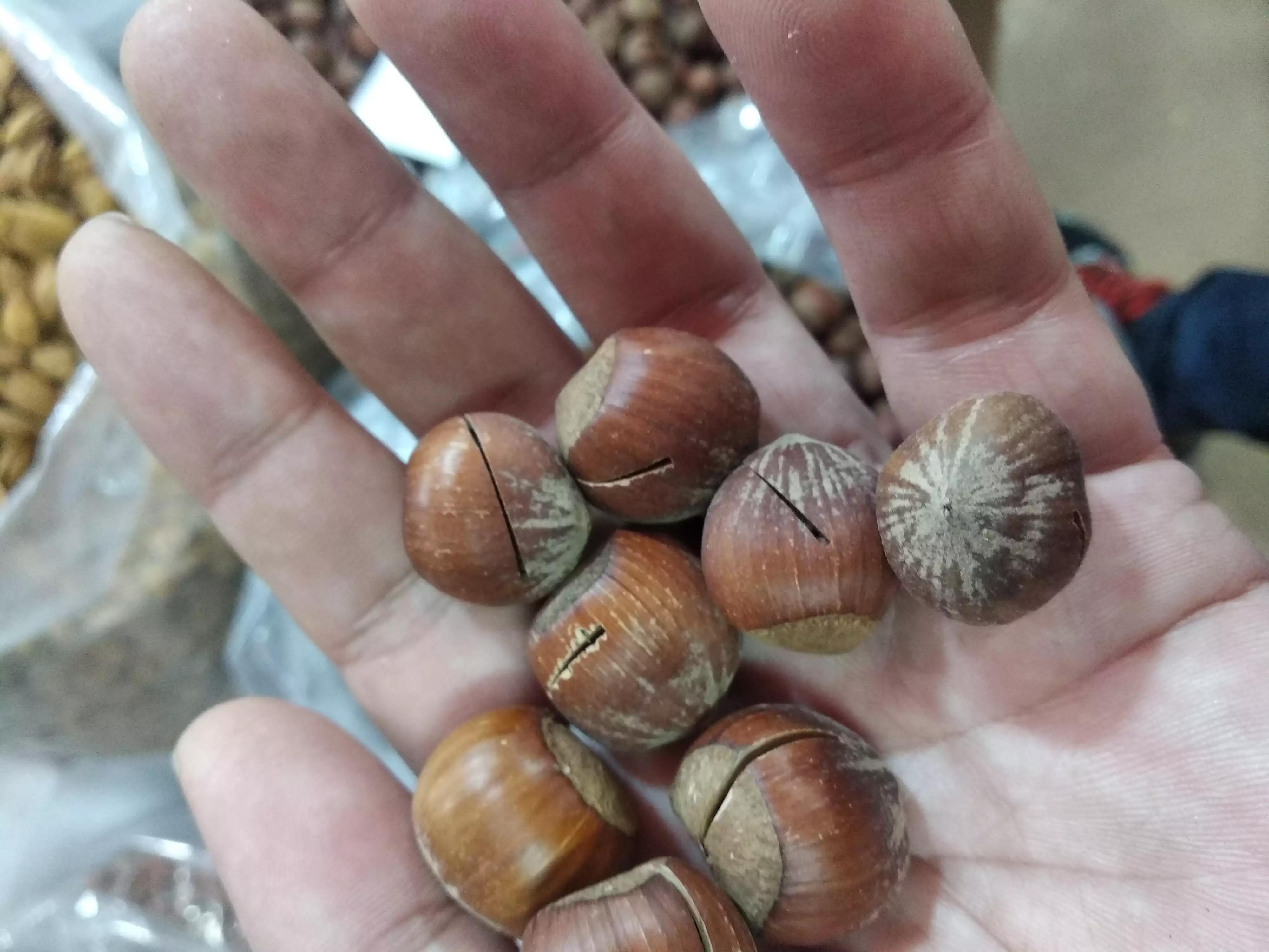 五种吉祥果最吉利,过年家里必备四种吉祥果