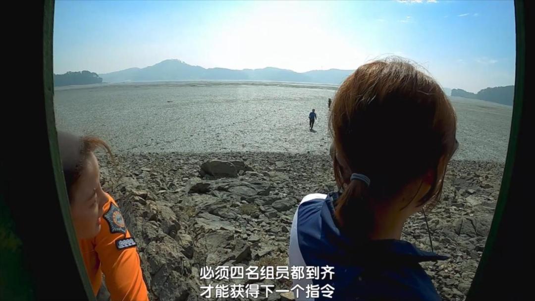 9.6分还在涨，国综又双叒输给韩国了