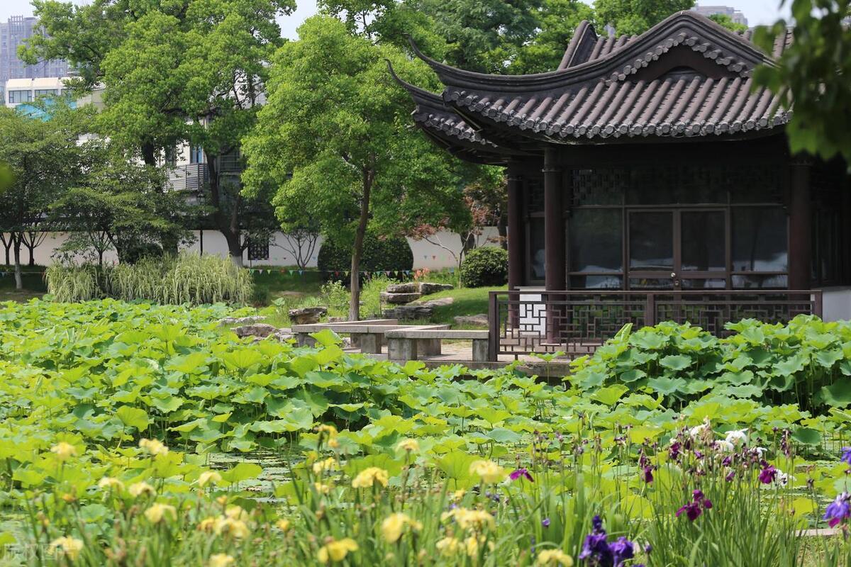 南京值得去的免费景点旅游攻略,南京旅游必去的景点一日游免费