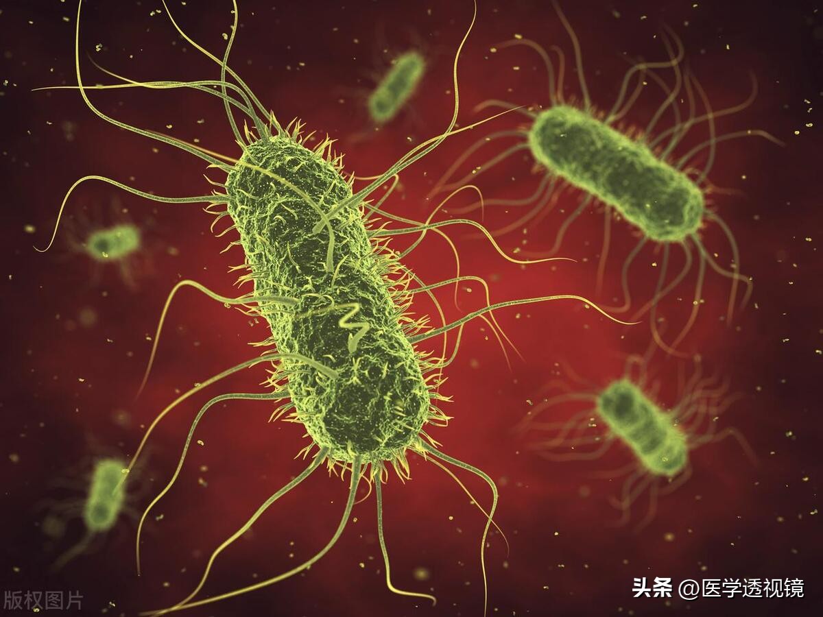 脓毒症很凶险,如何诊断及治疗,与消化系统的关系如何?